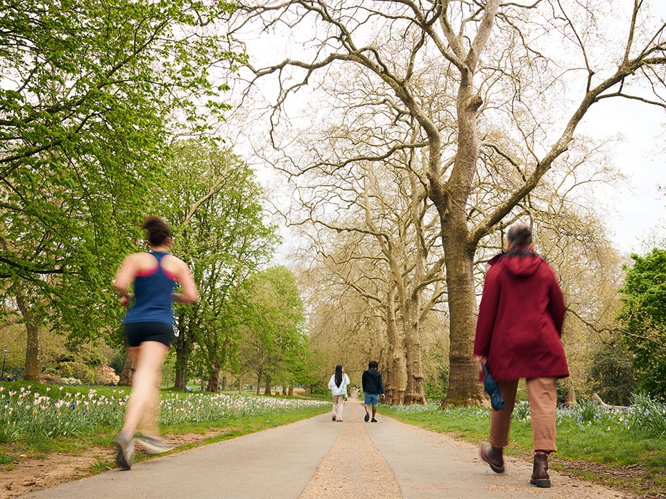 View of path in Hyde Park surrounded by trees and flowers. Runners and passers by can be seen making their way through the park.