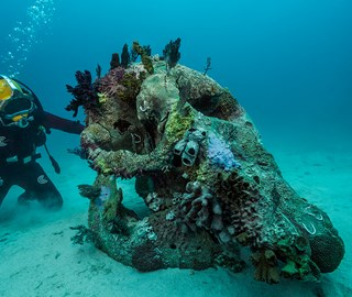 Damien Hirst: Treasures from the Wreck of the Unbelievable