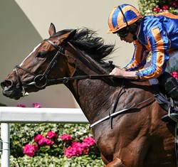 Royal Ascot