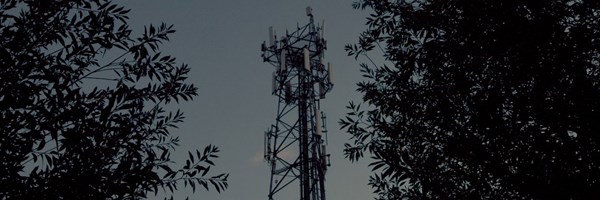 Telecommunications tower framed by tree branches against a dusky sky