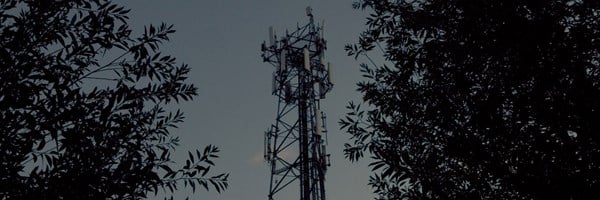 Telecommunications tower framed by tree branches against a dusky sky