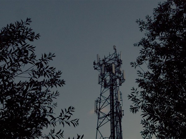 A tall communication tower with multiple antennas rises between silhouetted tree branches against a dusky sky.