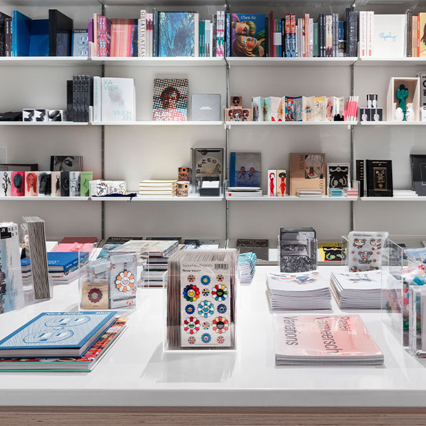 Close-up of curated art books, publications, and collectibles displayed on shelves and a central table.