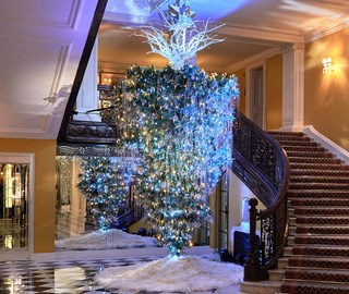 Christmas tree archive