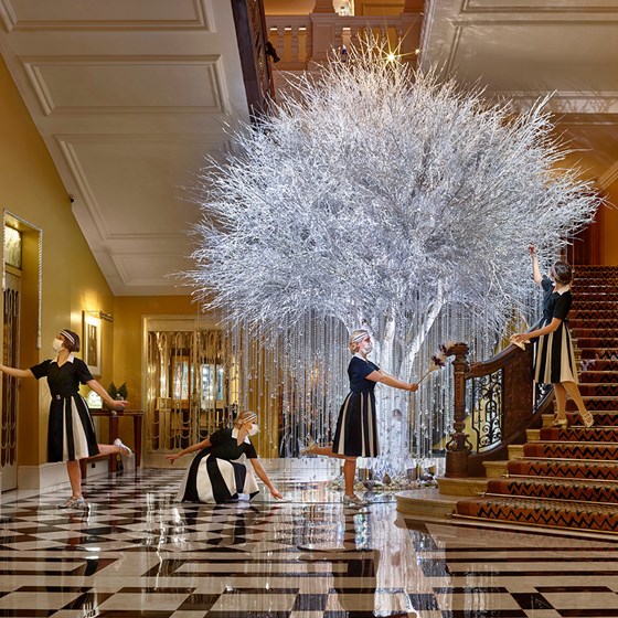 Christmas Tree Archive