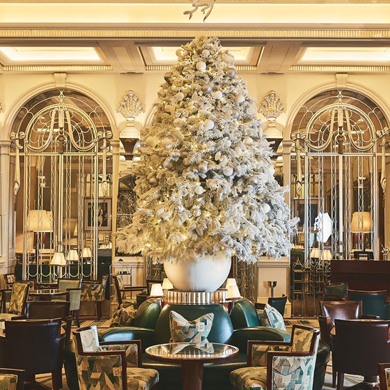 Festive Menus