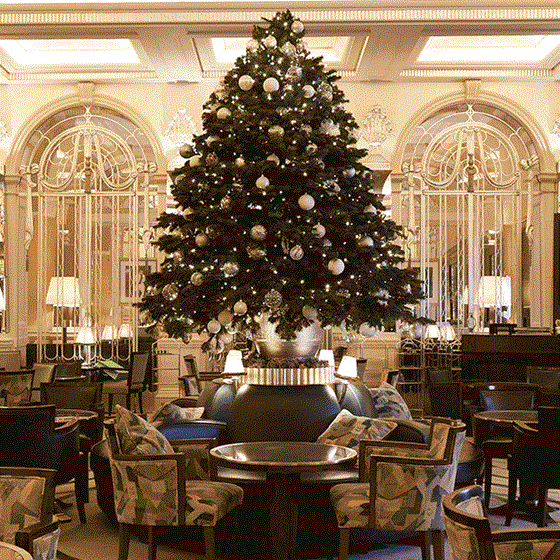 Festive Menus