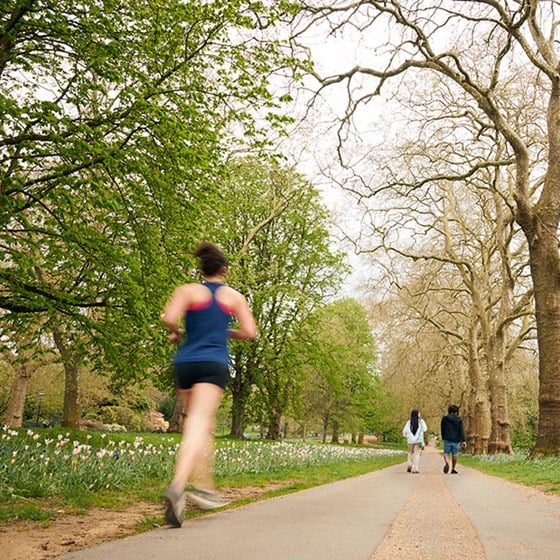 View of path in Hyde Park surrounded by trees and flowers. Runners and passers by can be seen making their way through the park.