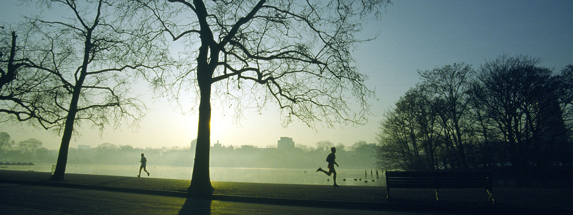 Runners and joggers on the track, surrounded by the natural beauty of Hyde Park.