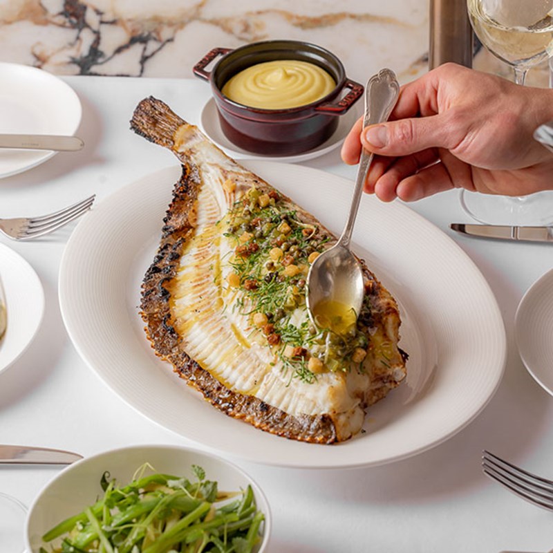white fish with sauce and herbs