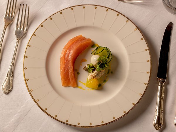 Elegant plate of cured salmon slices with cucumber ribbon, quenelle of cream, herbs, and vegetable garnishes arranged artistically.