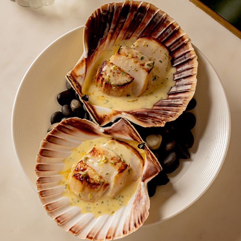 Two seared scallops served in large shells with a creamy herb sauce, presented on a bed of smooth black stones.