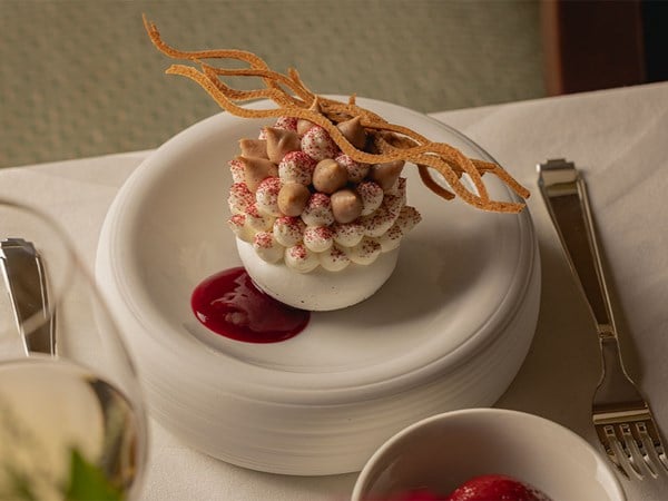Decorative meringue dessert with piped cream and fruit coulis on stacked white plates.