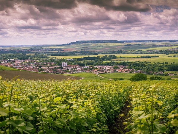 Rolling vineyards under a cloudy sky leading to a small French village surrounded by patchwork fields and distant hills.