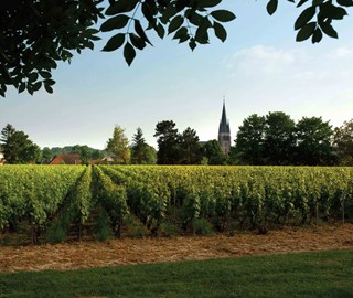 Laurent-Perrier, 31 October 2019