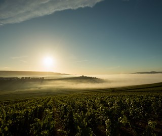 Dom Pérignon, 9 October 2019
