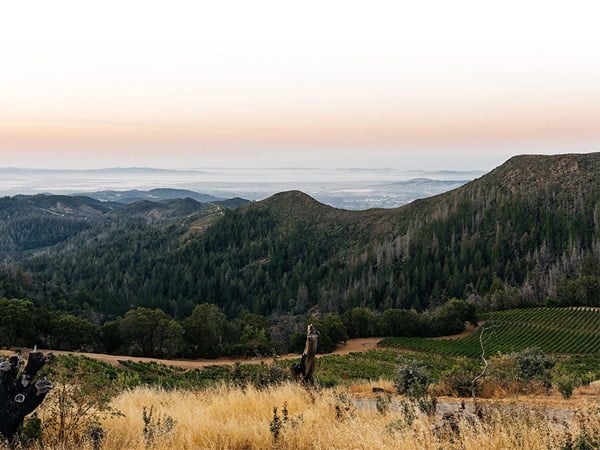 Panoramic view of a forested mountain range at sunset with golden grass in the foreground and a hazy horizon in the distance.